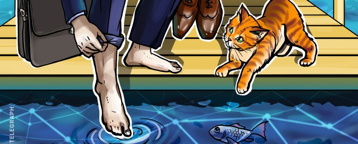 Be ‘very wary’ of crypto proof-of-reserve audits: SEC official