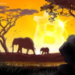 IMF optimism in Central African Republic, despite Bitcoin adoption